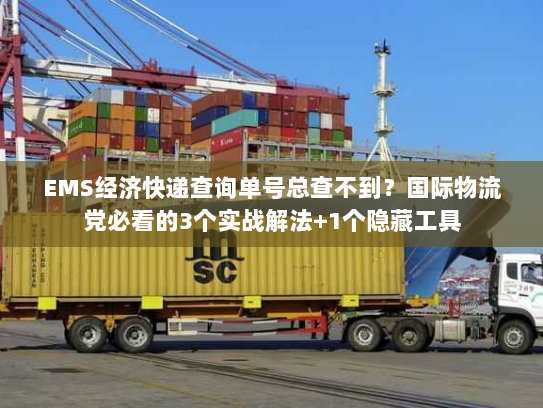 EMS经济快递查询单号总查不到？国际物流党必看的3个实战解法+1个隐藏工具