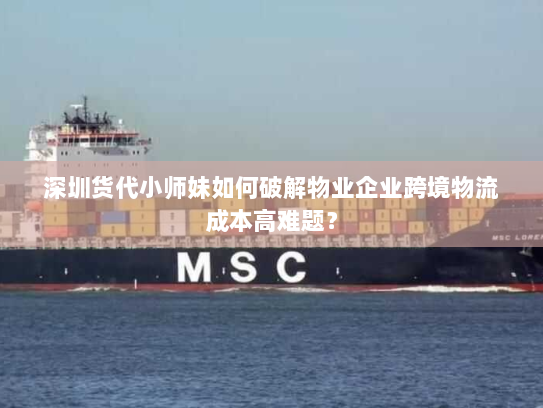 深圳货代小师妹如何破解物业企业跨境物流成本高难题？