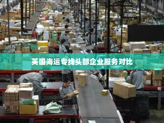 英国海运专线头部企业服务对比 英国海运专线头部企业服务对比