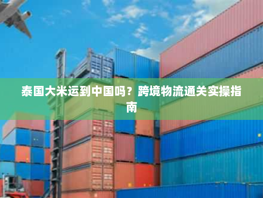 泰国大米运到中国吗？跨境物流通关实操指南