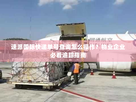 速派国际快递单号查询怎么操作？物业企业必看追踪指南