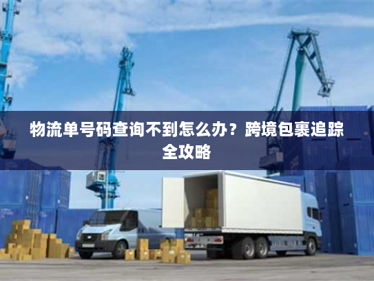 物流单号码查询不到怎么办？跨境包裹追踪全攻略