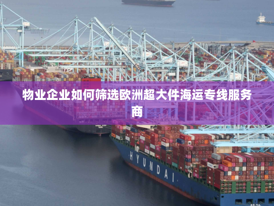 物业企业如何筛选欧洲超大件海运专线服务商