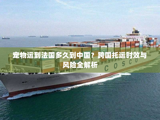 宠物运到法国多久到中国？跨国托运时效与风险全解析