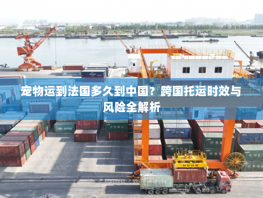 宠物运到法国多久到中国？跨国托运时效与风险全解析