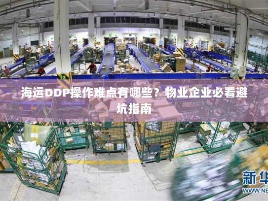 海运DDP操作难点有哪些？物业企业必看避坑指南