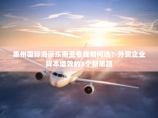 惠州国际海运东南亚专线如何选？外贸企业降本增效的3个新思路