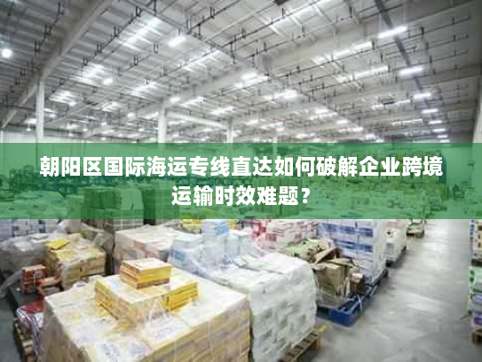 朝阳区国际海运专线直达如何破解企业跨境运输时效难题？