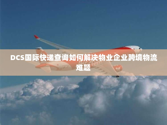 DCS国际快递查询如何解决物业企业跨境物流难题
