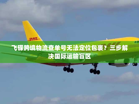 飞碟跨境物流查单号无法定位包裹？三步解决国际运输盲区