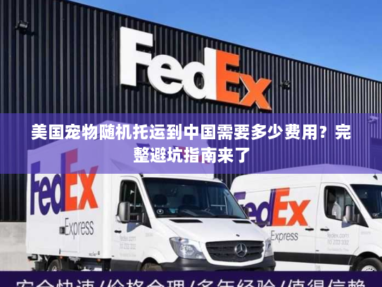 美国宠物随机托运到中国需要多少费用？完整避坑指南来了