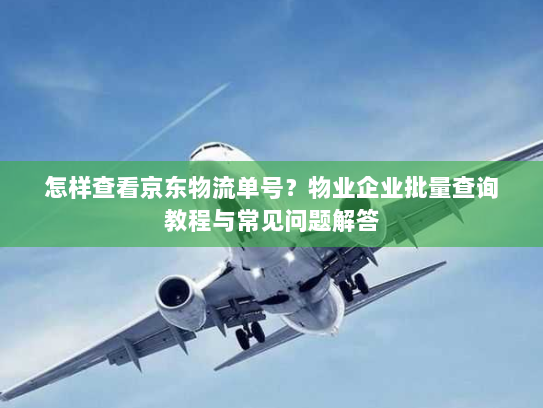 怎样查看京东物流单号？物业企业批量查询教程与常见问题解答