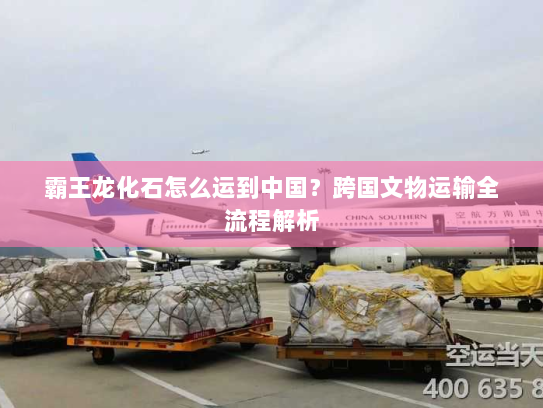 霸王龙化石怎么运到中国？跨国文物运输全流程解析