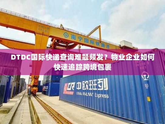 DTDC国际快递查询难题频发?物业企业如何快速追踪跨境包裹 DTDC国际快递查询难题频发?物业企业如何快速追踪跨境包裹