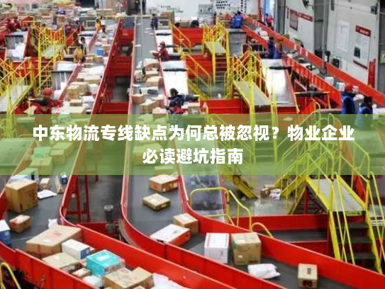 中东物流专线缺点为何总被忽视？物业企业必读避坑指南