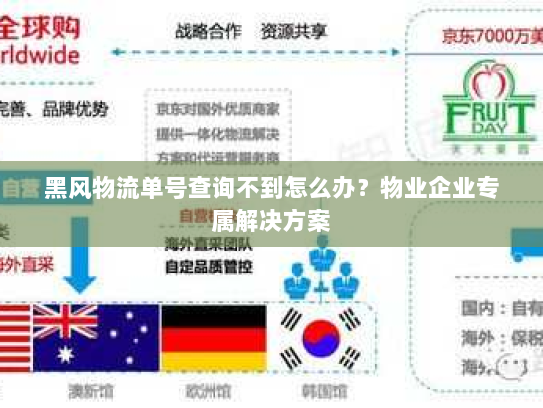 黑风物流单号查询不到怎么办？物业企业专属解决方案