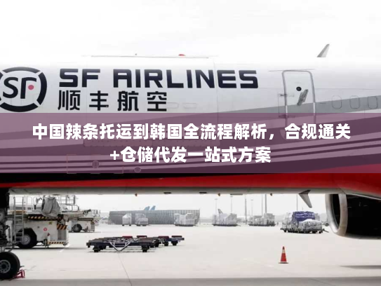 中国辣条托运到韩国全流程解析，合规通关+仓储代发一站式方案