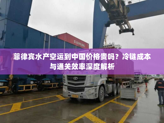 菲律宾水产空运到中国价格贵吗？冷链成本与通关效率深度解析