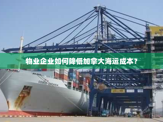 物业企业如何降低加拿大海运成本？