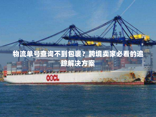 物流单号查询不到包裹？跨境卖家必看的追踪解决方案
