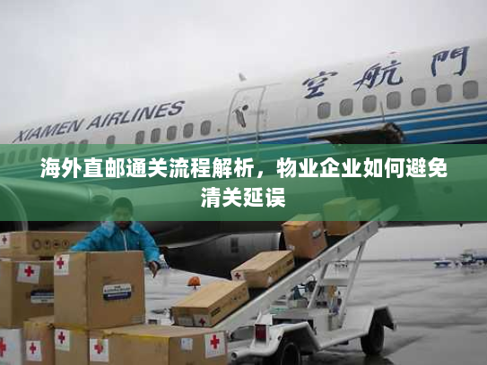 海外直邮通关流程解析,物业企业如何避免清关延误 海外直邮通关流程解析,物业企业如何避免清关延误