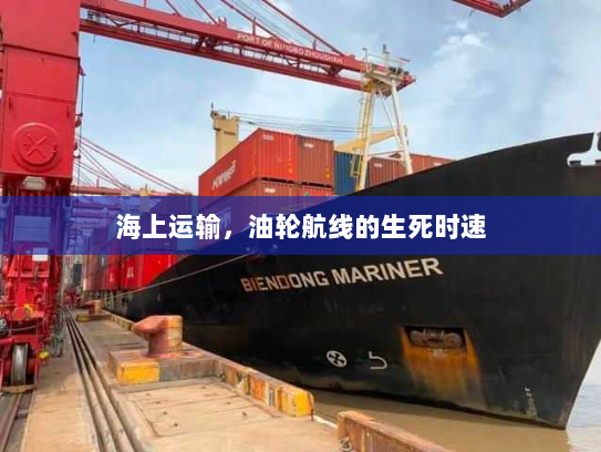 海上运输，油轮航线的生死时速