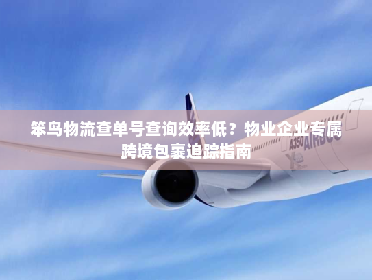 笨鸟物流查单号查询效率低?物业企业专属跨境包裹追踪指南 笨鸟物流查单号查询效率低?物业企业专属跨境包裹追踪指南
