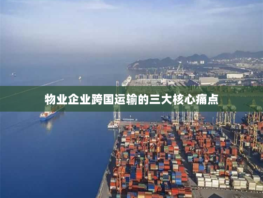 物业企业跨国运输的三大核心痛点