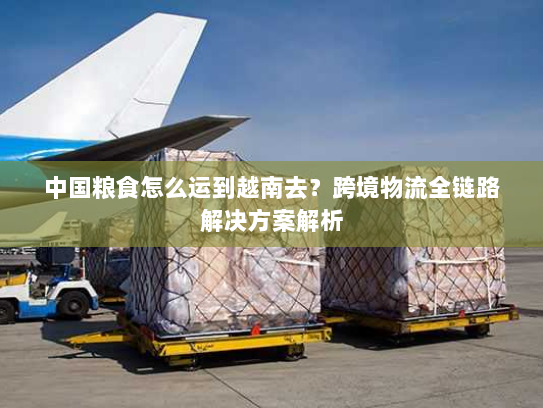 中国粮食怎么运到越南去?跨境物流全链路解决方案解析 中国粮食怎么运到越南去?跨境物流全链路解决方案解析