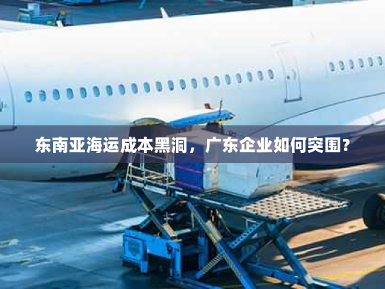 东南亚海运成本黑洞，广东企业如何突围？