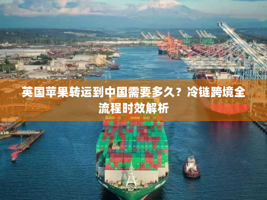 英国苹果转运到中国需要多久？冷链跨境全流程时效解析