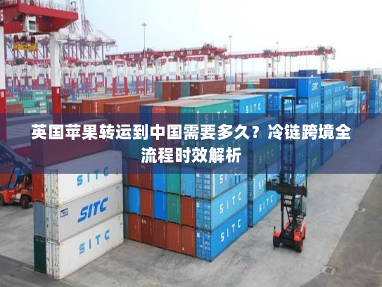 英国苹果转运到中国需要多久？冷链跨境全流程时效解析
