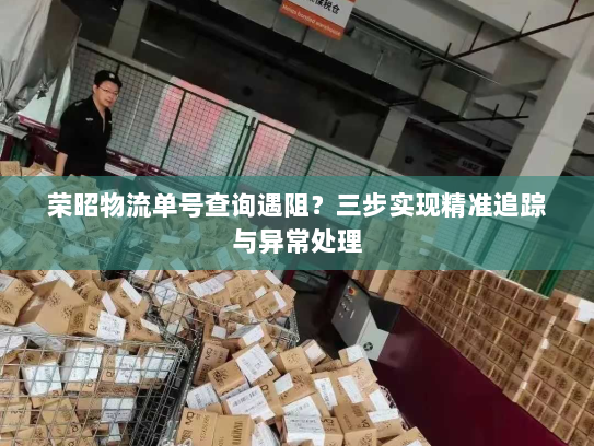 荣昭物流单号查询遇阻?三步实现精准追踪与异常处理 荣昭物流单号查询遇阻?三步实现精准追踪与异常处理