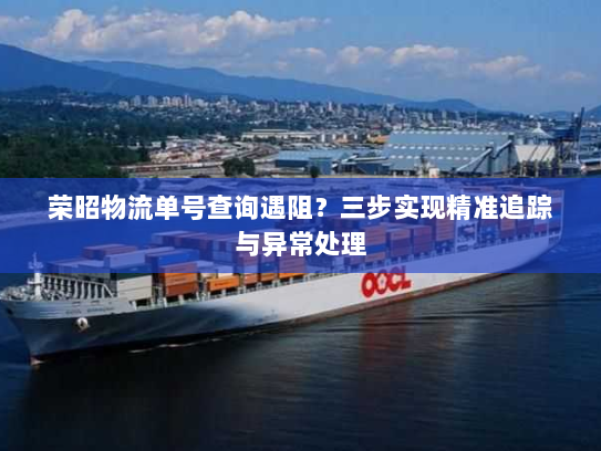 荣昭物流单号查询遇阻？三步实现精准追踪与异常处理