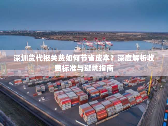 深圳货代报关费如何节省成本？深度解析收费标准与避坑指南