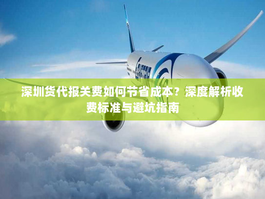 深圳货代报关费如何节省成本？深度解析收费标准与避坑指南