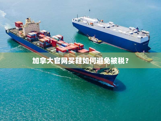 加拿大官网买鞋如何避免被税? 加拿大官网买鞋如何避免被税?