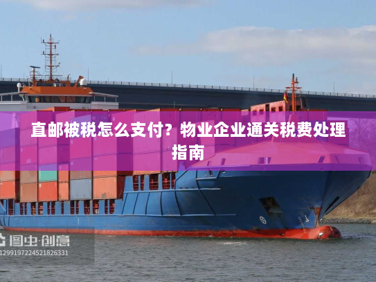 直邮被税怎么支付?物业企业通关税费处理指南 直邮被税怎么支付?物业企业通关税费处理指南