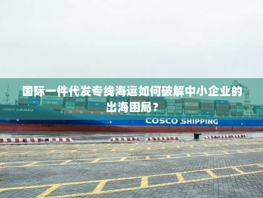国际一件代发专线海运如何破解中小企业的出海困局？