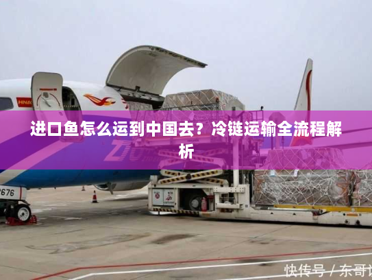 进口鱼怎么运到中国去？冷链运输全流程解析