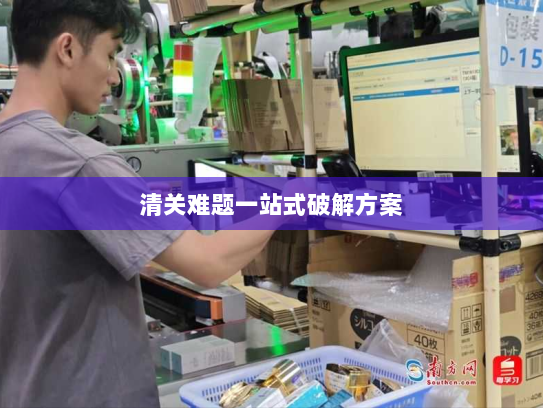 清关难题一站式破解方案