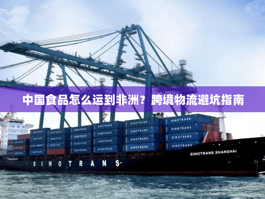 中国食品怎么运到非洲？跨境物流避坑指南