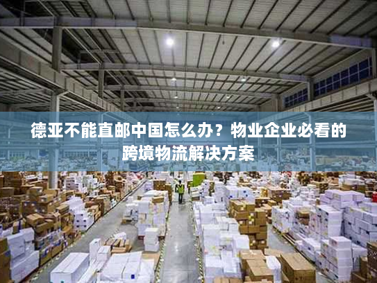 德亚不能直邮中国怎么办？物业企业必看的跨境物流解决方案