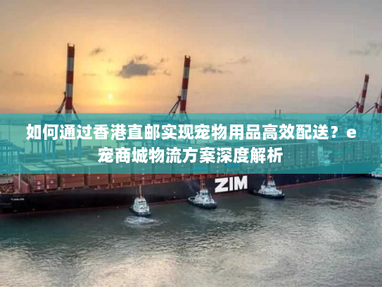 如何通过香港直邮实现宠物用品高效配送？e宠商城物流方案深度解析