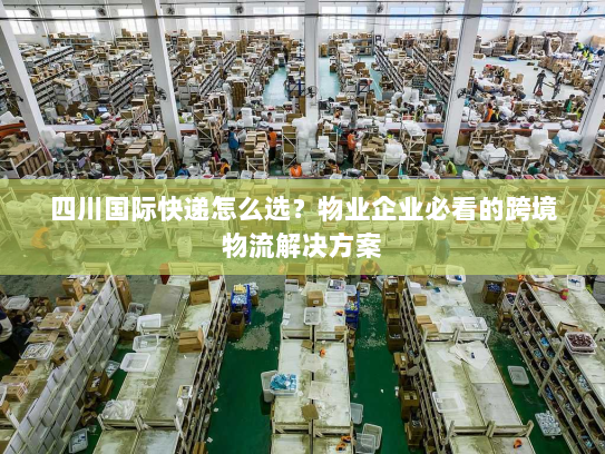 四川国际快递怎么选？物业企业必看的跨境物流解决方案