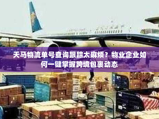 天马物流单号查询跟踪太麻烦?物业企业如何一键掌握跨境包裹动态 天马物流单号查询跟踪太麻烦?物业企业如何一键掌握跨境包裹动态