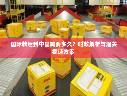 国际转运到中国需要多久？时效解析与通关提速方案