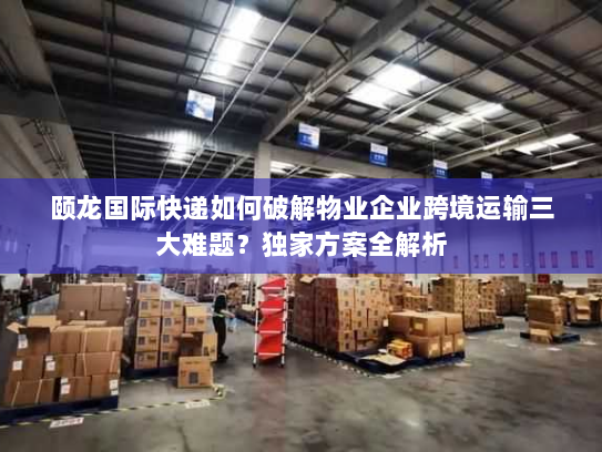 颐龙国际快递如何破解物业企业跨境运输三大难题？独家方案全解析