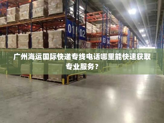 广州海运国际快递专线电话哪里能快速获取专业服务？
