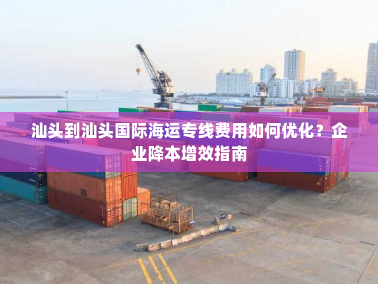 汕头到汕头国际海运专线费用如何优化？企业降本增效指南